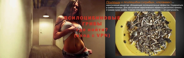 шишки Красноперекопск