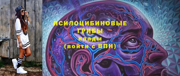 шишки Красноперекопск