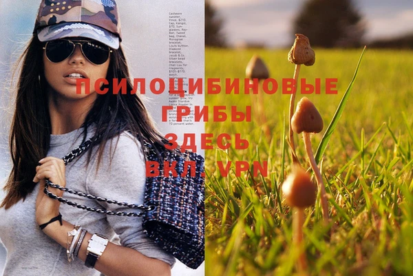 эйфоретик Михайлов