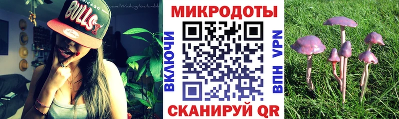 Галлюциногенные грибы Psilocybe Миасс