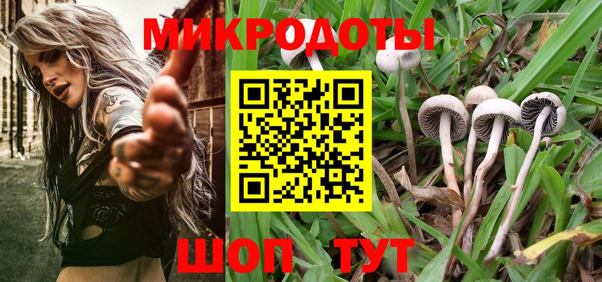 Галлюциногенные грибы Magic Shrooms  Вход с VPN  Миасс 